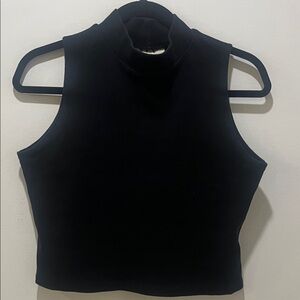 Chic Black Sleeveless Crop Top